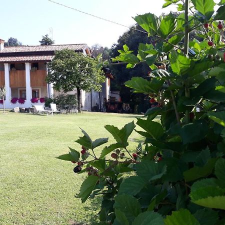 Agriturismo La Scala Villa Salò Екстериор снимка