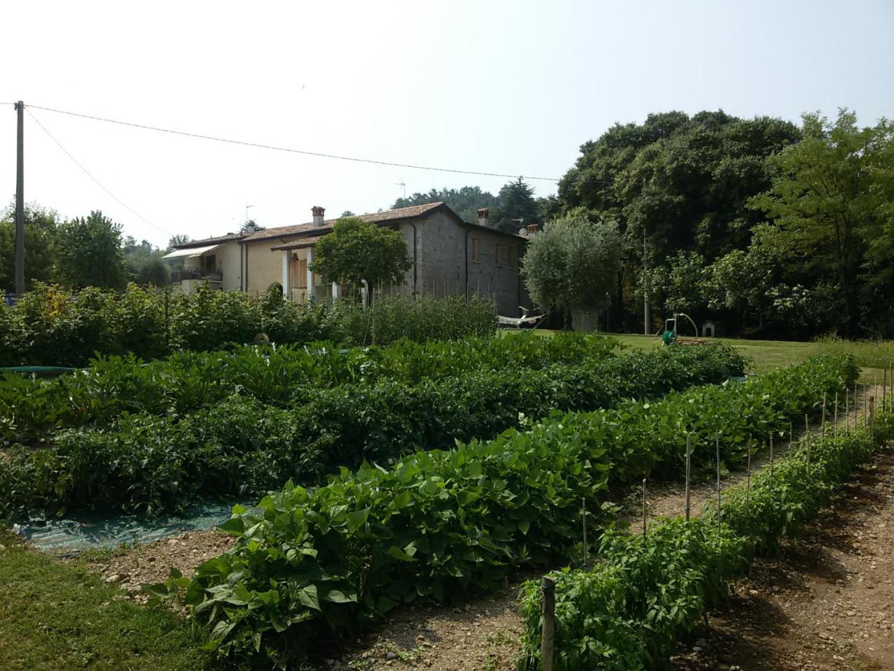 Agriturismo La Scala Villa Salò Екстериор снимка