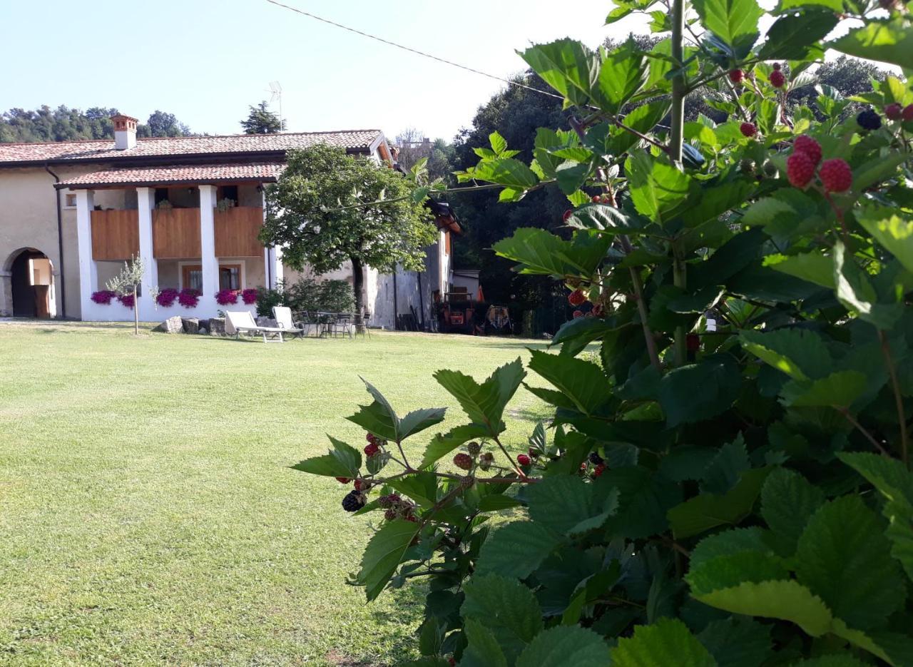 Agriturismo La Scala Villa Salò Екстериор снимка